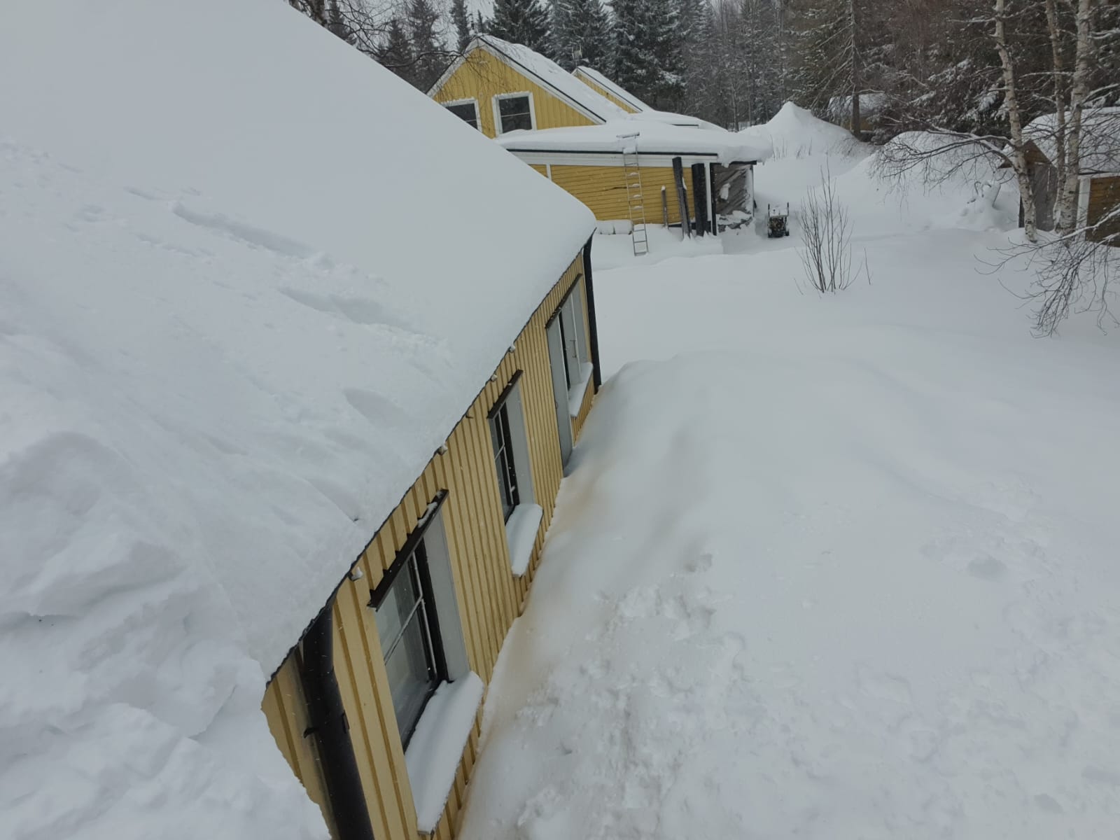De mooie kanten van wonen in Lapland