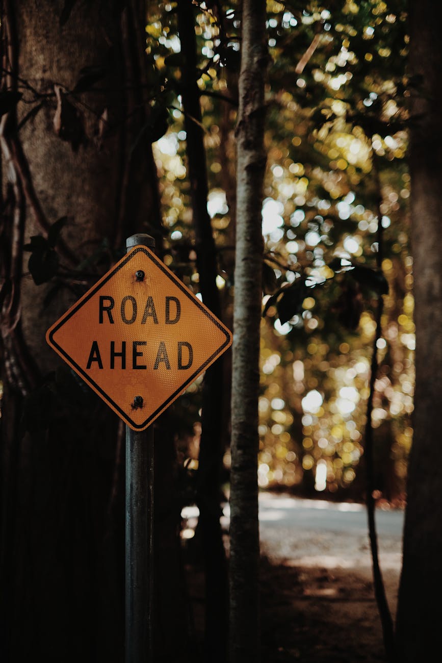 a metal road sign near a tree trunk